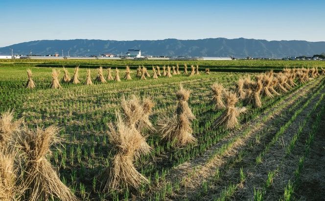 博多華味鳥 水たき 約3～4人前 鍋 水炊き