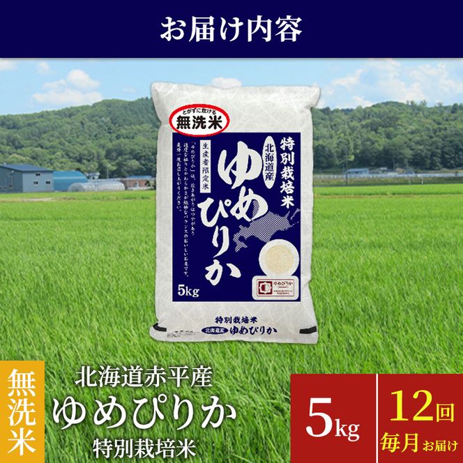無洗米 北海道赤平産 ゆめぴりか 5kg 特別栽培米 【12回お届け】 米 北海道 定期便 ふるさと納税 お米 