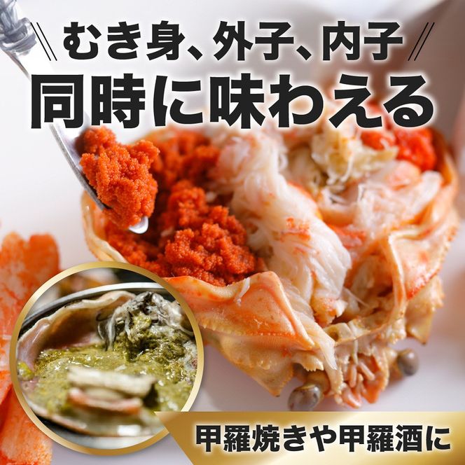 甲羅盛り かに セコガニの甲羅盛 鳥取からお届け！ 8個入り 313726_BS086