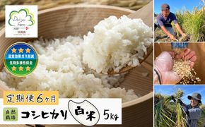【定期便6ヶ月】自然栽培　コシヒカリ（白米）　5kg