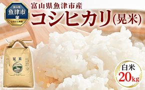 【令和6年度米】環境配慮「魚津のコシヒカリ（晃米）」20kg（白米） ｜ MK農産 白米 銘柄米 ブランド米 ご飯 おにぎり お弁当 和食 主食 国産 産地直送 甘み 香り もちもち ※2024年9月中旬頃より順次発送 ※北海道・沖縄・離島への配送不可