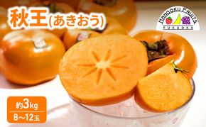 柿 福岡限定! ブランド柿「秋王(あきおう)」約3kg(8-12玉) かき フルーツ 果物 ※配送不可:離島