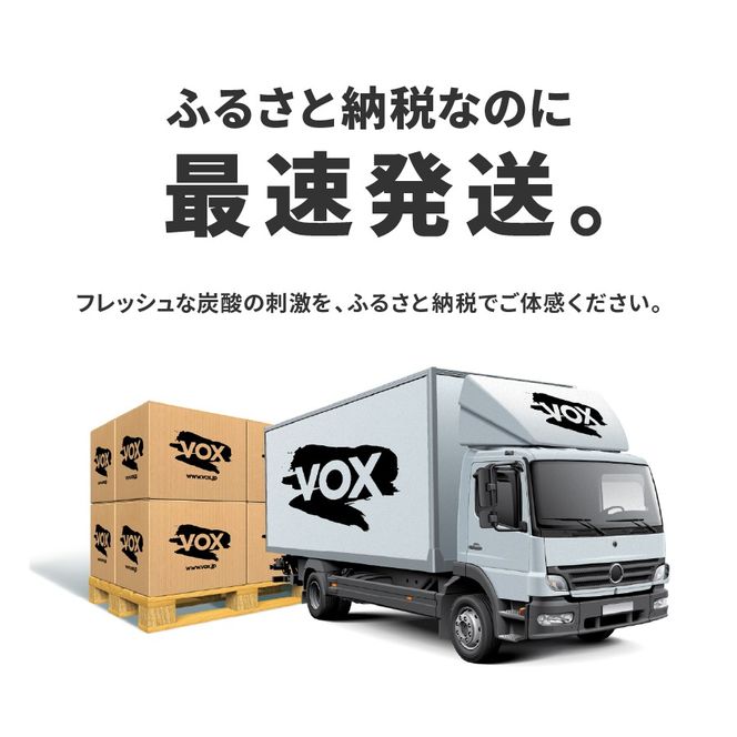 【3か月定期便】VOX バナジウム 強炭酸水 500ml 24本 コーラフレーバー ミントフレーバー 備蓄 防災 ストック 防災グッズ 保存 山梨 富士吉田