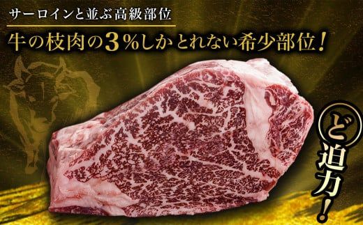 宮崎牛ヒレブロック500g_22-8905_( 都城市 ) 牛肉 宮崎県産 宮崎牛 真空パック ヒレブロック 高級部位 枝肉の3％ 希少な部位 やわらか 脂肪分が少ない お好みサイズ カット 