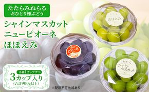 【2026年先行予約】 ぶどう 岡山県産 たたらみねらる アンサンブルカップ( シャインマスカット ・ ほほえみ ・ ニューピオーネ )3カップ入 900g以上《2026年8月下旬-10月上旬出荷》 岡山 里庄町