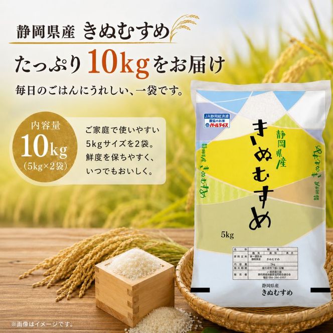 米 静岡きぬむすめ 10kg（5kg×2） お米 白米 コメ 精米 きぬむすめ 静岡県産 袋井市 静岡県