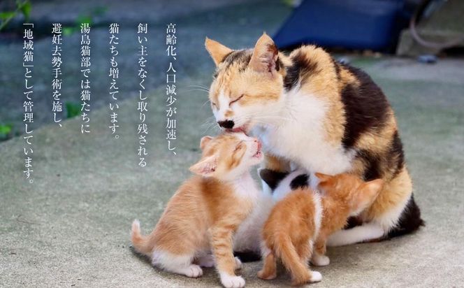 ねこの島！湯島！オリジナルステッカー【地域猫活動支援】 猫 ねこ ネコ オリジナルグッズ 猫グッズ ロゴステッカー ステッカー 猫島 猫の島 湯島 熊本県 上天草市