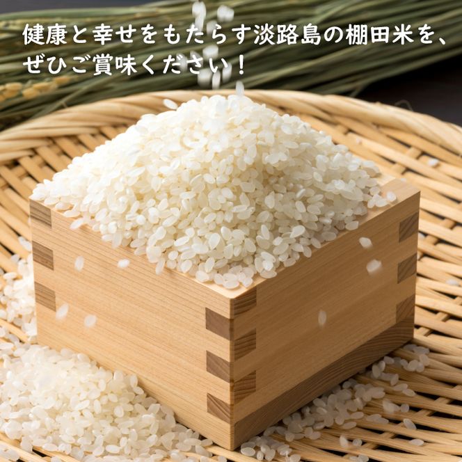 健幸農園の棚田米 10kg 白米
