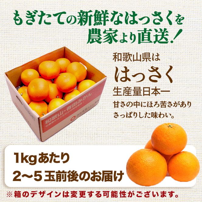 ＜1月より発送＞厳選 はっさく5kg+250g（傷み補償分）｜ 八朔みかん ハッサク ◇