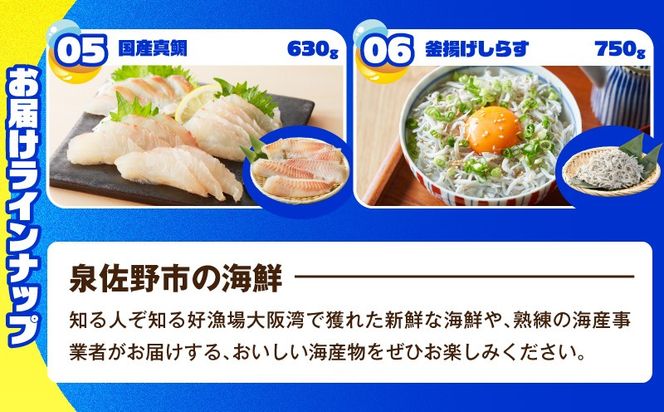 gacha015 【期間限定】泉佐野 海鮮ガチャ（寄附10,000円コース）【海鮮 えび 鮭 サーモン しらす 刺身 普段使い お楽しみ 翌月以降】