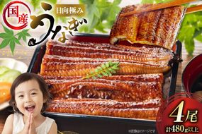 うなぎ 国産 日向極み うなぎ蒲焼 4尾 計480g以上 【たれ・山椒付き】 [日向サンパーク 宮崎県 日向市 452061501] ギフト 小分け 真空パック 鰻 ウナギ うなぎの蒲焼 蒲焼 蒲焼き