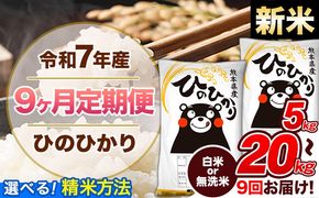 【9ヶ月定期便】新米 令和7年産 定期便 無洗米 も選べる ひのひかり 5kg 10kg 15kg 20kg 《お申込み翌月から出荷》熊本県産 ふるさと納税 精米 ひの 米 こめ ふるさとのうぜい ヒノヒカリ コメ 熊本米---hn7tei_112500_5kg_mo9_gkt_h---