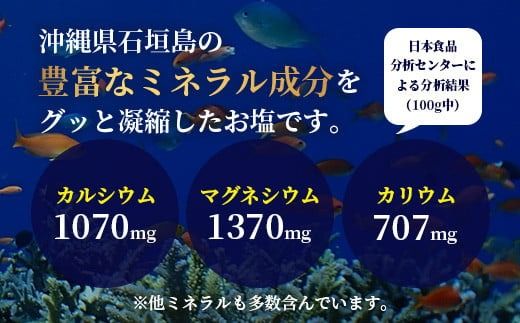 【モンドセレクション金賞】南十字星の星塩 100g 【 石垣島 塩 料理 海塩 食塩 天日 海水 天然 】NY-3