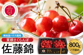 【2026年産 先行予約】先取り！無加温ハウス栽培 GI 「東根さくらんぼ」佐藤錦 800gバラ詰め JA園芸部提供 山形県 東根市 hi001-038