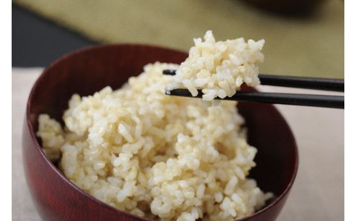 【新米　先行予約】令和8年産すっごいもちもち 「しきゆたか」 玄米【10kg(5kg×2袋）】【C070W】
