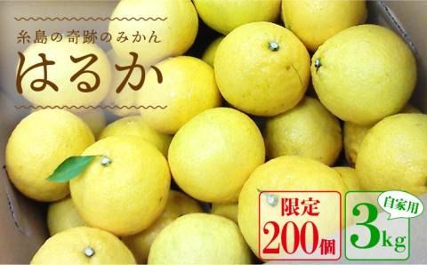 【年内発送】【先行予約】 爽やか に 甘い ！ 糸島産 「 はるか 」 お試し用 約 3kg 【2025年3月より順次発送】二丈赤米産直センター[ABB003]