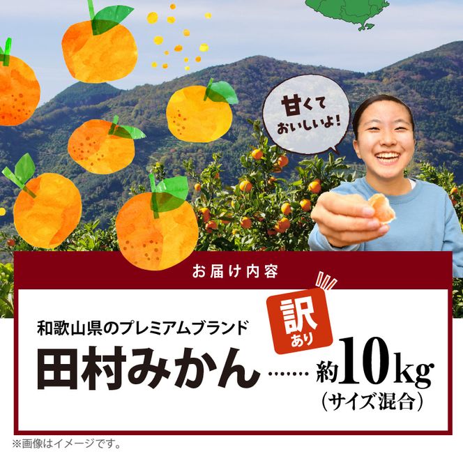 AB7300_ 【2026年先行予約】ご家庭用 田村みかん サイズ混合(2S～２L) 約10kg わけあり 訳あり 不揃い 和歌山プレミアムブランドみかん 小玉 中玉 大玉 蜜柑 ミカン フルーツ 果物