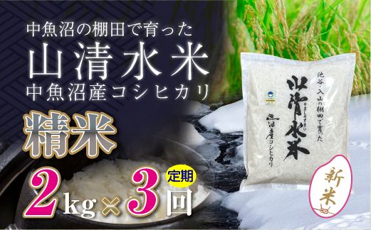 【令和8年産 新米】 【定期便／全3回】精米2kg 新潟県魚沼産コシヒカリ「山清水米」