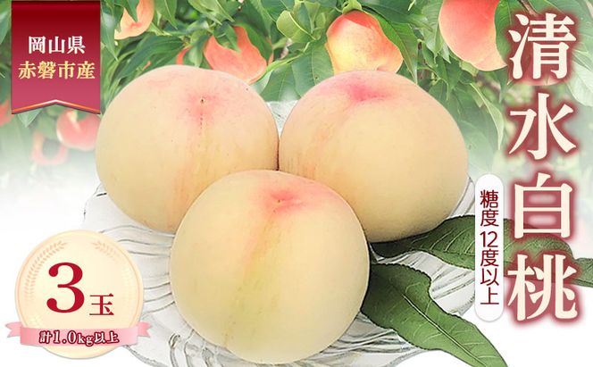 桃 2026年 数量限定 清水白桃 糖度12度以上 3玉 計1.0kg以上 岡山県 赤磐市産