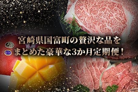 ＜太陽のタマゴを肉ではさんだ超贅沢な3か月定期便＞2025年4月から第一回目を順次出荷【b0674_co】