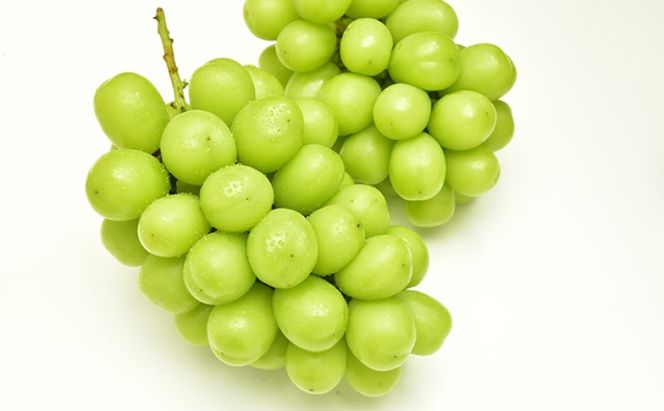 フルーツ 定期便 【2026年 先行予約】 桃 ぶどう 梨 3回お届け 白桃 約2kg入り(5玉～7玉) シャインマスカット 4房2.8kg以上 あたご梨 (3～6玉)  岡山県産 国産 セット ギフト