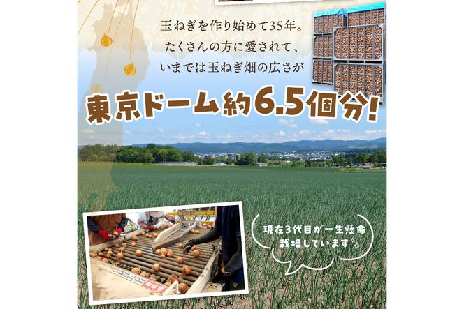 【予約：2026年10月から順次発送】日本一の生産地！北海道北見市の玉ねぎ 2kg！スープ2本付き♪ ( 玉ねぎ 玉葱 たまねぎ タマネギ オニオン スープ 即席 料理 )【164-0009】