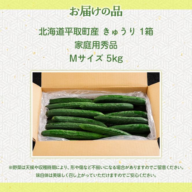 【先行予約/8月以降発送】【家庭用】【北海道平取町産】秀品 キュウリ１箱Мサイズ５kg BRTO004
