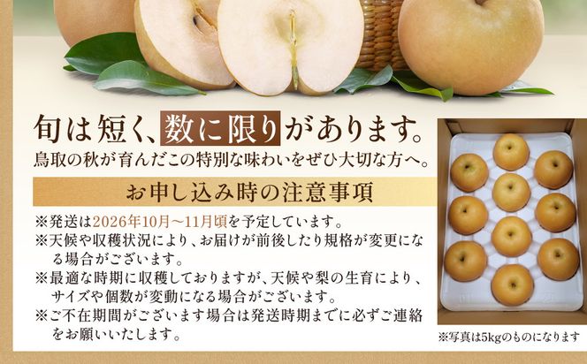 【2026年10月頃より発送】岸田秀果園 新興梨 (自家用)3kg 313726_CY007