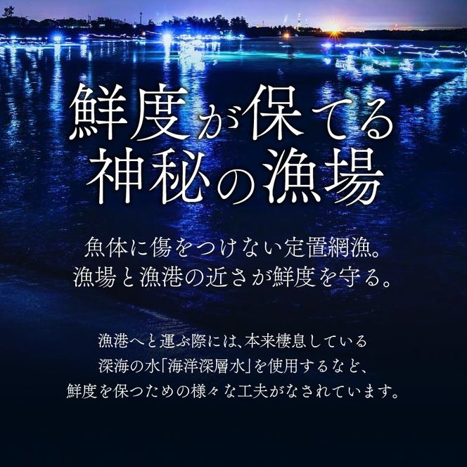 生ホタルイカ急速冷凍とオリジナル万能酢味噌付き【カネツル砂子商店】 [A-002012] 