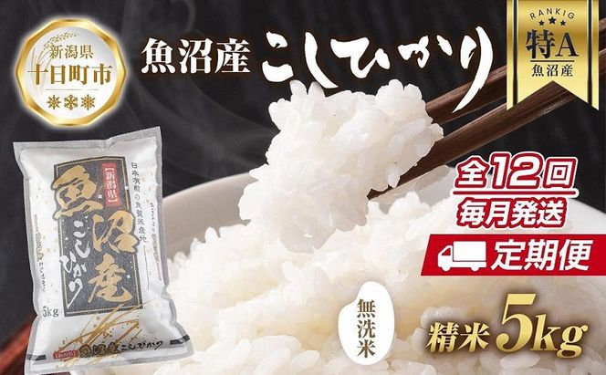 【定期便】｜無洗米｜ 新潟県 魚沼産 コシヒカリ お米 5kg×計12回 精米済み 年間 毎月発送 こしひかり （お米の美味しい炊き方ガイド付き） ご飯 ブランド米 銘柄米 