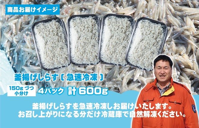 G2182t 【お中元対応】減塩 釜揚げしらす 600g【小分け 150g×4P シラス しらす sirasu 海鮮 人気 おすすめ 産地直送】