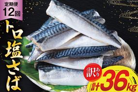 12回 定期便 訳あり 塩サバ フィレ 3kg 総計36kg [足利本店 宮城県 気仙沼市 20564960] 魚介類 魚 サバ サバフィレ さば 鯖 サバフィーレ 鯖フィレ 切り身 冷凍 訳アリ 訳ありサバ 大容量 わけあり トロ