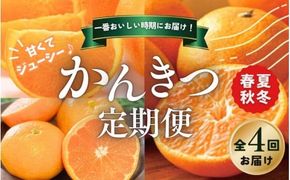 【全4回】 柑橘 定期便 石本果樹園 旬の柑橘を春夏秋冬でお届け！ / フルーツ 果物 くだもの 柑橘 フルーツ定期便 くだもの定期便 定期便 みかん ミカン 温州みかん せとか カラマンダリン ハウスみかん 産地直送 旬 人気 おすすめ 三重県 紀宝町【tkb508】