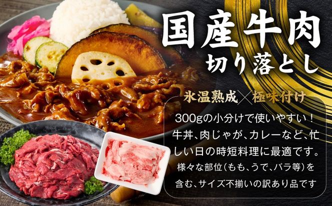 mrzZ086 【定期便】国産 牛豚鶏 4種セット 2kg×2回【氷温熟成×極味付け 牛肉 豚肉 鶏肉 もも むね 食べ比べ 普段使い 味付き 小分け 訳あり サイズ不揃い 毎月配送コース】