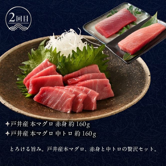 はこだて 海の幸 定期便 10万円 北海道産 プレミアム 全4回 海の恵 食通 うなる 海のごちそう セレクト 函館名物 いかそーめん いかそうめん いか刺し 戸井産 本マグロ 赤身 中トロ 函館サーモン いくら 醤油漬け 月替り お取り寄せ 北海道 函館市 送料無料_HS001-008