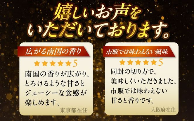 【先行予約 2026年発送 予約受付】【贈答用】仲村農園の完熟アップルマンゴー2kg マンゴー 沖縄 果物 フルーツ ギフト 沖縄市 / 仲村農園[BCCU001]