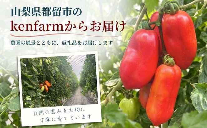 【2027年先行予約】山梨県都留市産 加熱用トマト サンマルツァーノ 約1kg