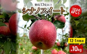 りんご 【12月・1月発送】 糖度13度以上 訳あり品 家庭用 シナノスイート 約10kg【 青森りんご 】