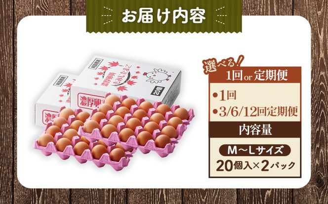 濃厚卵黄もみじたまご【40個入り】【6ヶ月連続】定期便 [No.936]