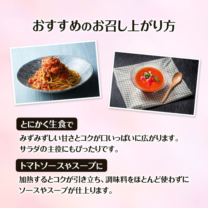8月発送開始[2026年発送] 超完熟ミニトマト【 アイコ 】2kg（1kg×2箱）栽培期間中 農薬・除草剤不使用 サイズ混載 トマト ミニトマト 野菜 北海道 仁木町 [アイコファーム] 