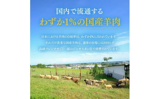 宮崎県産羊肉　寿ジンギスカン300g 【 肉 羊肉 国産 九州産 川南町産 ジンギスカン 羊 ひつじ 味付き 】[D11903]