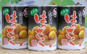 和歌山産手剥き八朔缶詰450g×8缶入り 【tec912B】