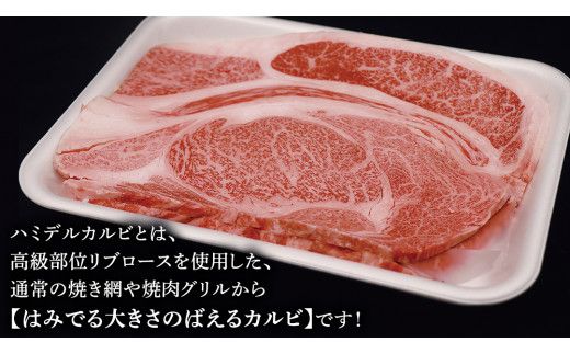 常陸牛 ハミデルカルビ 1kg （ 6～10枚 ） (茨城県共通返礼品) 国産 焼き肉 カブリ ゲタ リブ芯 リブ巻 中落ちカルビ バーベキュー BBQ お肉 ブランド牛 黒毛和牛 和牛 国産黒毛和牛 国産牛 牛肉 [BM141us]