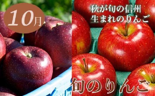 ［年6回定期便］ 小布施町の人気フルーツ定期便6カ月コース ［小布施屋］ 定期便 頒布会 フルーツ 果物 令和7年産 【2025年7月～12月発送】 ［J-3］