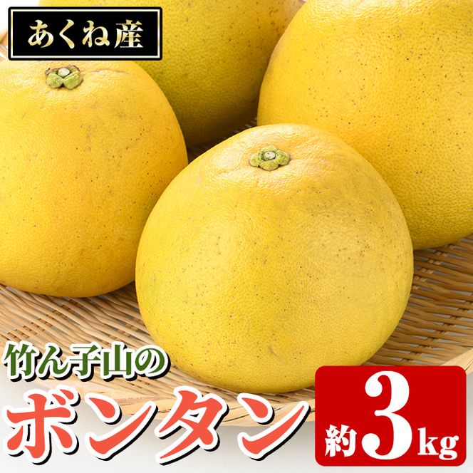 ＜先行予約受付中！2027年1月上旬以降順次発送予定＞竹ん子山のボンタン(約3kg) 国産 鹿児島県産 阿久根産 柑橘 果物 フルーツ ぼんたん 文旦 果実 期間限定 【竹ん子山】akn097-11