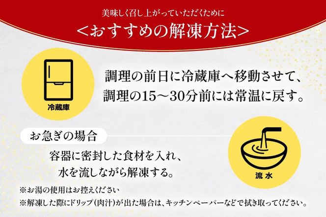 牛肉 宮崎牛 牛すじ 1kg [ローカルブランディング 宮崎県 日向市 452061404] 冷凍 黒毛和牛 黒毛 A4 A5 国産 牛筋