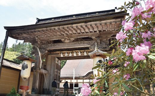 ＜世界遺産高野山＞ 宿坊 宿泊割引チケット 9,000円分 303446_EA003