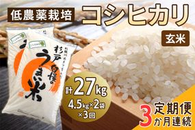 [定期便／3ヶ月] 低農薬栽培のコシヒカリ《玄米》計27kg (4.5kg×2袋×3ヶ月連続)｜おいしい お米 コメ こめ ご飯 ごはん お取り寄せ 直送 贈り物 贈答品 ふるさと納税 埼玉 杉戸 [0650]