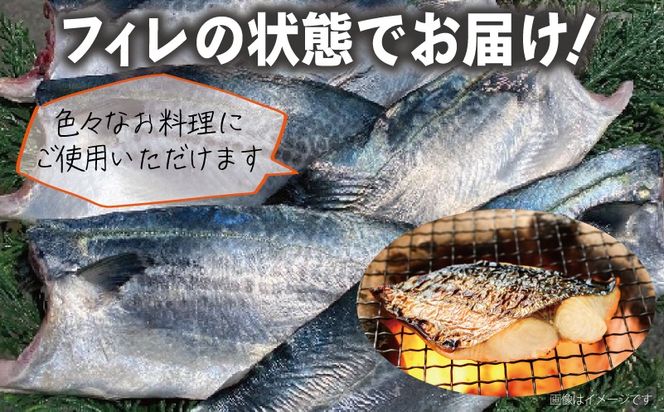 099H3890-1 さごしフィレ 合計1kg以上 【小分け 切り身 海産 魚 お弁当 焼き魚 冷凍 惣菜 焼くだけ 訳あり サイズ不揃い 圧倒的企業努力】