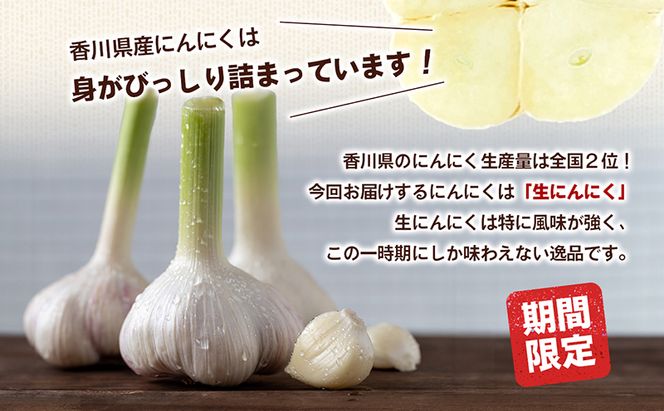 鮮度抜群！土付きにんにく 5kg 野菜 根菜 